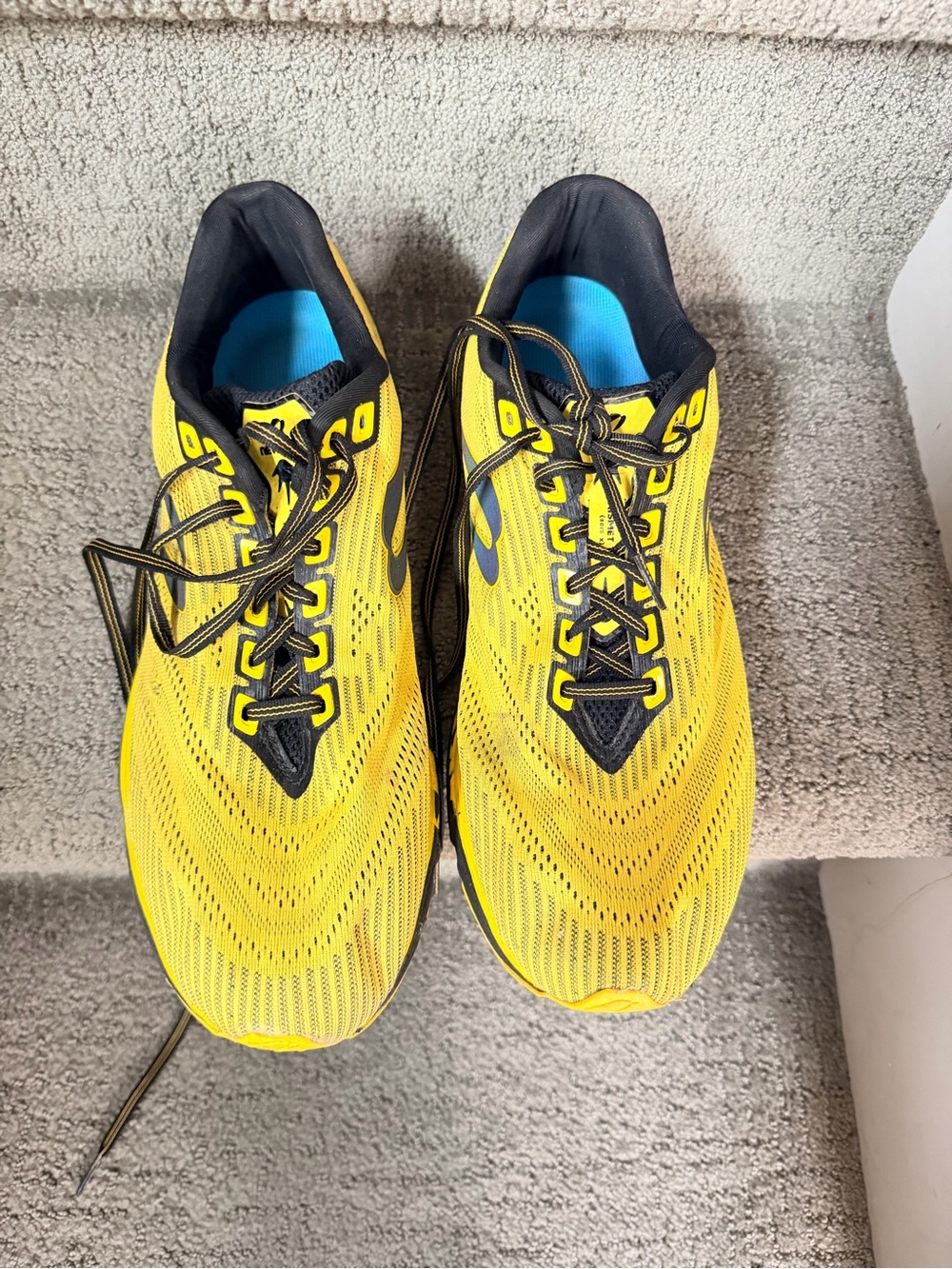 Newton Kismet 10 Running Shoe